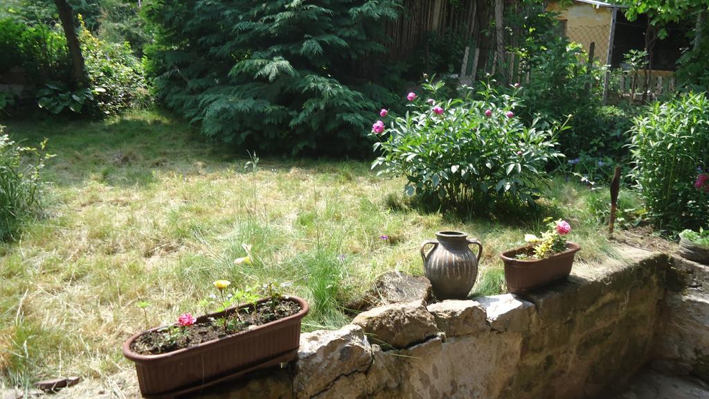 Guest House Zora Belogradcic Exterior foto